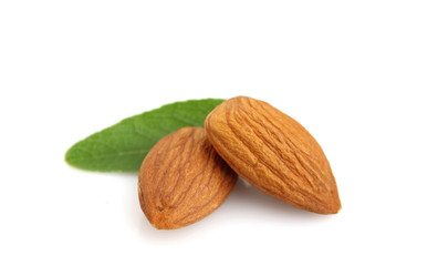 Amonds kernel with leaves