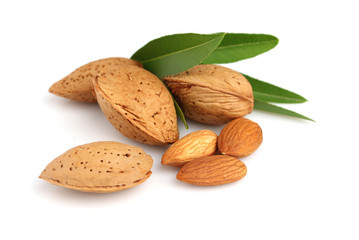 Amonds kernel with leaves