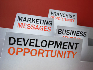 Development (organizer)