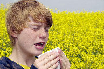 Allergie
