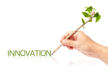 Innovation wording with creative pencil with green tree on white