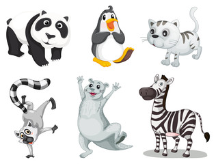 Obraz premium Animal series