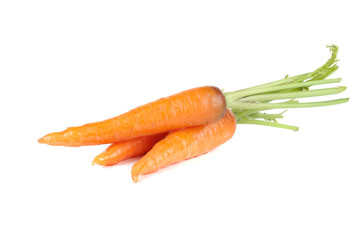 Carrots