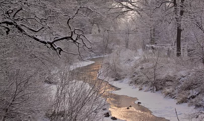 Foto auf Acrylglas Winter river with ducks © Photo Collective