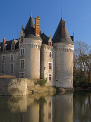 Fototapeta premium Château de Bourg-Archambault ; Vienne ; Poitou-Charente