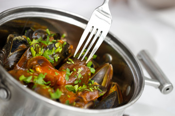Mussels nature