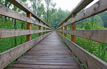 Fototapeta na wymiar drewniana promenada ścieżka w parku krajobrazowym