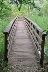 Fototapeta na wymiar drewniana promenada ścieżka w parku krajobrazowym