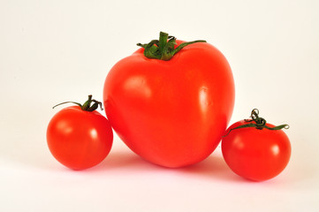 Tomatos