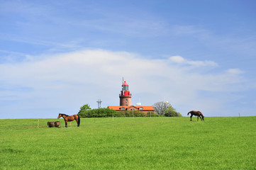 Erholung am Leuchtturm BUK