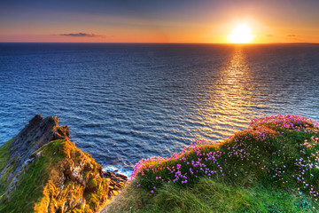 Cliffs of Moher in Co. Clare, Ireland