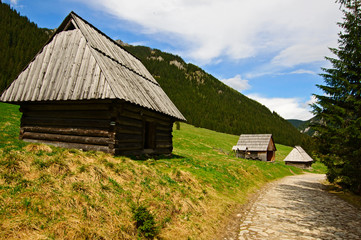 Fototapeta premium Tatry-Dolina Chochołowska bacowki