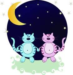 Two cats in the night from the moon and stars