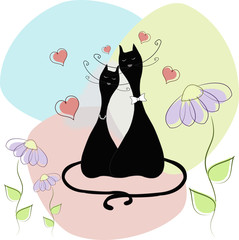 Cats the groom and the bride