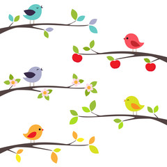 Birds on branches