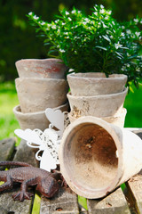 Fototapeta premium Gardening still life