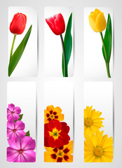 Big set of banners with spring and flowers.