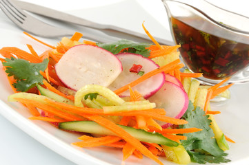 Salad with carrot, cucumber and radish