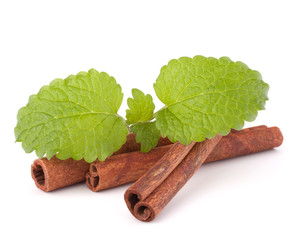 Cinnamon sticks and fresh mint leaf