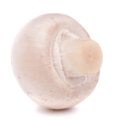 Champignon mushroom