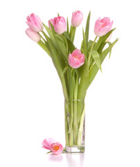 Pink tulips bouquet in vase isolated on white background