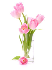 Pink tulips bouquet in vase isolated on white background