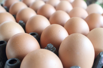 Eggs