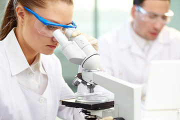 Clinical experiment