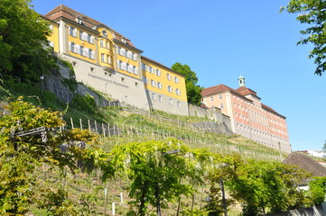 Fototapeta premium Staatsweingut Meersburg