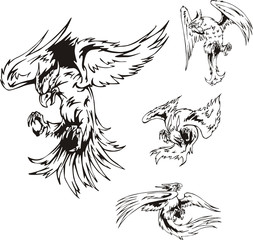 Obraz premium Predatory Bird Tattoos