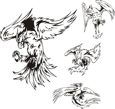 Predatory Bird Tattoos