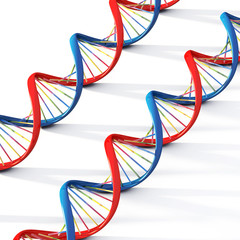 2 Dna helix strand genetic cells isolated medical research