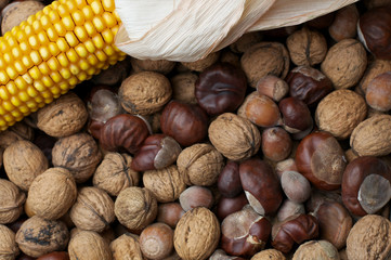 Maiskolben auf Nüssen und Kastanien