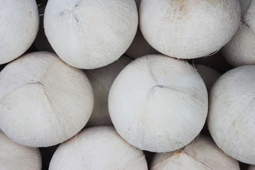 Coconut