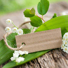 Textfeld, Gartenzeit