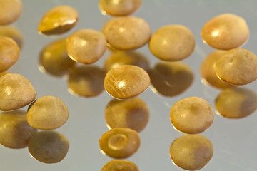 Lentils on the mirror