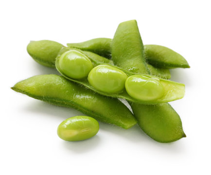 edamame, boiled green soy beans, japanese food