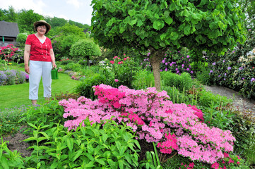 Frau im Garten mit Azaleenstrauch