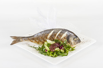 Dorada fish with salad on the white plate. Studio shot