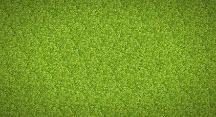 Green abstract background texture of the grass
