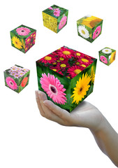 Flower cube