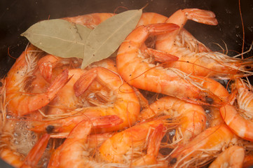 garnelen, prawn