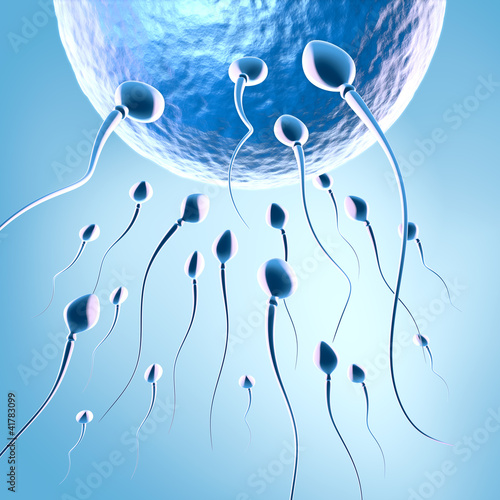 "Menschliche Spermien" Stock photo and royalty-free images on Fotolia ...