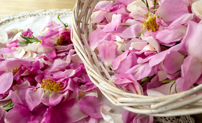 Fototapeta premium Pink rose petals