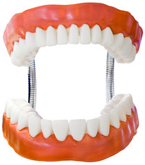 Denture Model Cutout
