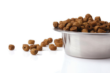 Dog food isolated on white, closeup
