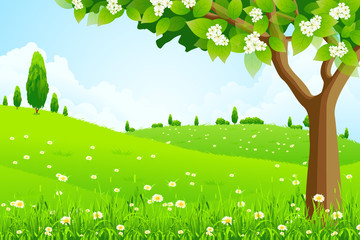 Green Landscape with  Tree
