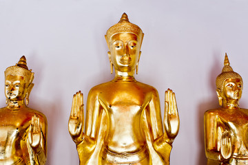 Action blessing of Golden Buddha statue in Wat Pho, Bangkok, Tha