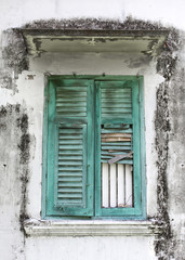 Old green woody window on Moldy wall