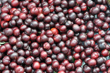 Organic wild cherry